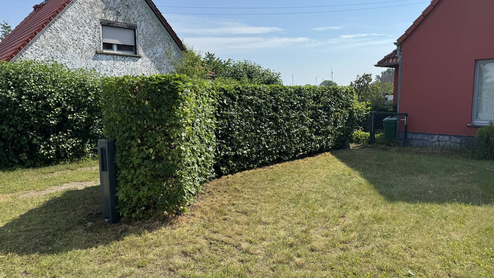 Laubhecke in Form geschnitten – Nachher