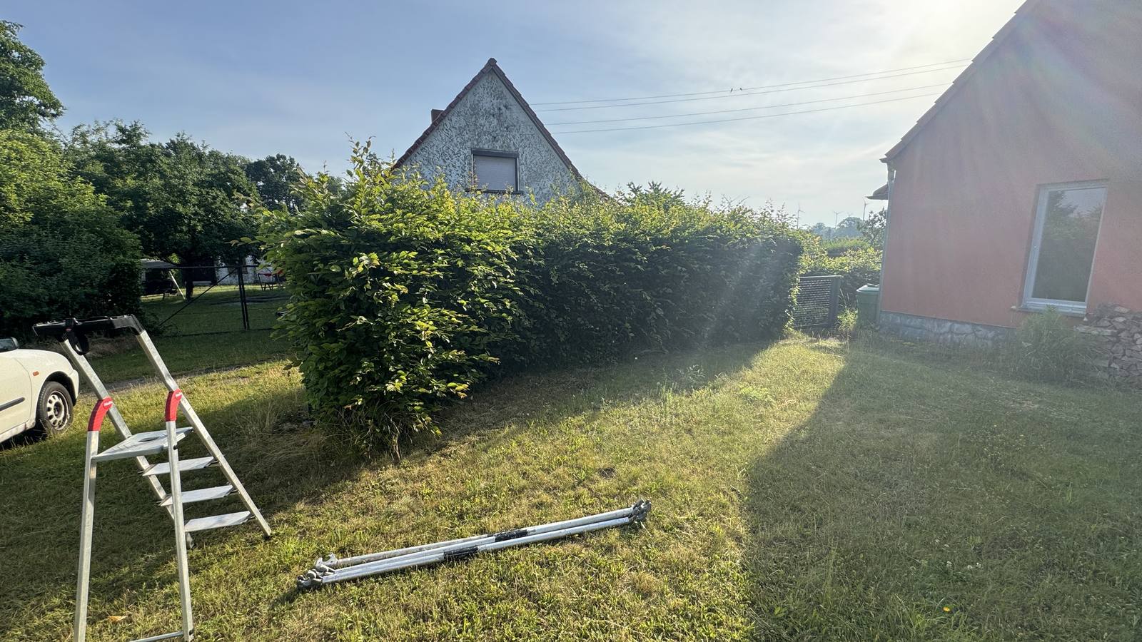 Laubhecke in Form geschnitten – Vorher